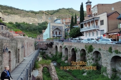 14-τιφλιδα-