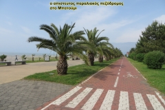 3-